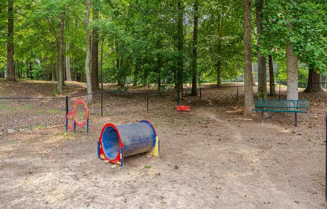 dog park with agility equipment