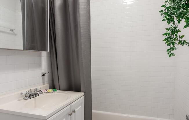 Studio, 1 bath, $2,600, Unit 5G