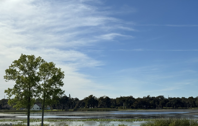 Gated Community Gem: Turnkey 2/2 in Emerald Lake