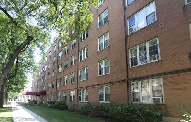 1 bed, 1 bath, $1,295, Unit 205