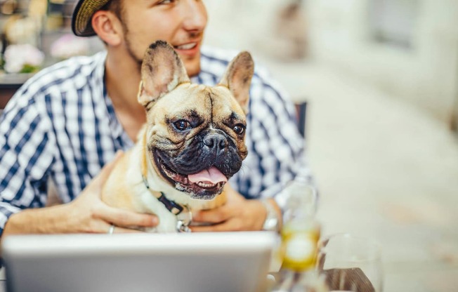 Pet-Friendly Community at Windsor Chastain, 30342, GA