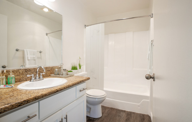 1 bed, 1 bath, 700 sqft, $2,095, Unit 302