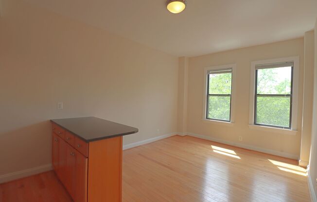 Studio, 1 bath, 460 sqft, $1,995, Unit H203