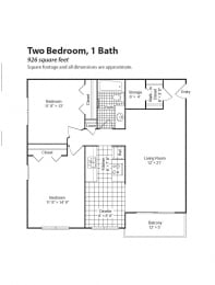 2 beds, 1 bath, 926 sqft, $1,307