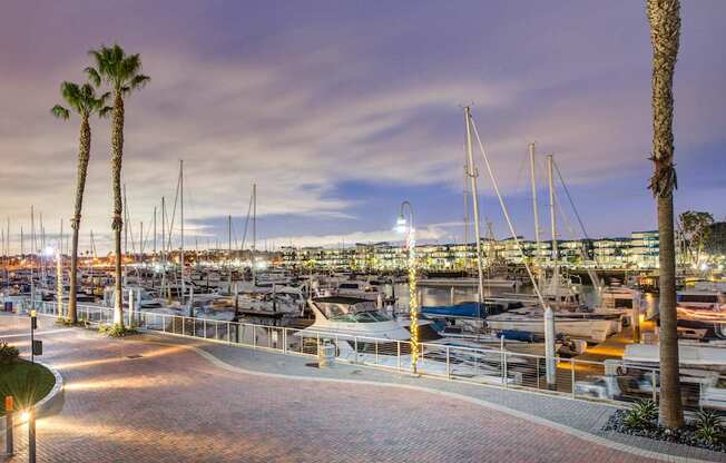 A marina at dusk with boats docked and palm trees at Esprit Marina del Rey, 90292