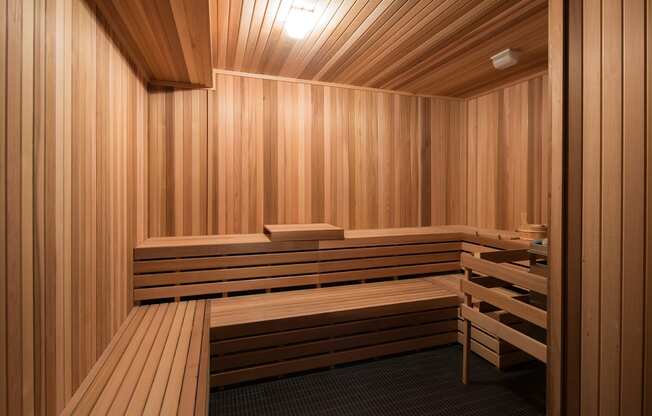 Dry sauna room - Onyx Edina