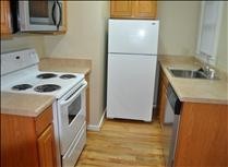 1 bed, 1 bath, $900