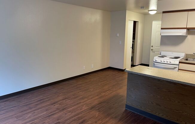 Studio, 1 bath, 408 sqft, $1,295, Unit 227