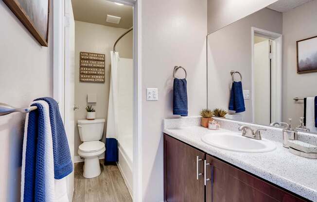 A bathroom with a toilet, sink, and mirror at Mountain Vista Apartments, Colorado