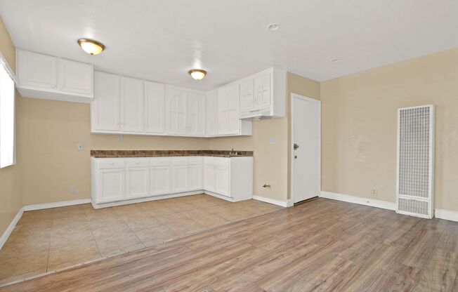 1028 W 95th St