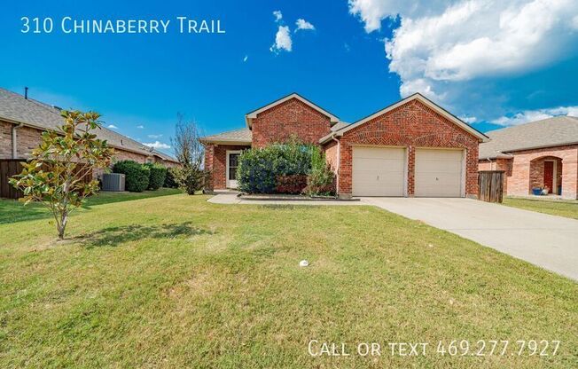 310 CHINABERRY TRL