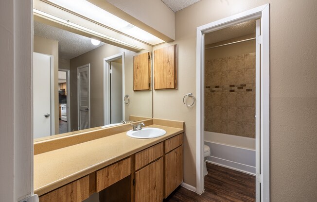 A bathroom with a sink, mirror, and wooden cabinets.