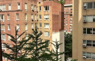 Studio, 1 bath, $3,595, Unit 9F