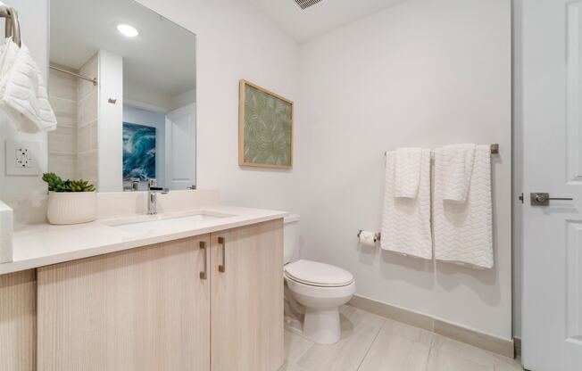 A bathroom with a toilet and a sink and a mirror