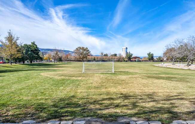 A soccer goal is in the middle of a grassy field.