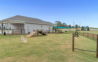 38-web-or-mls-DSC06474