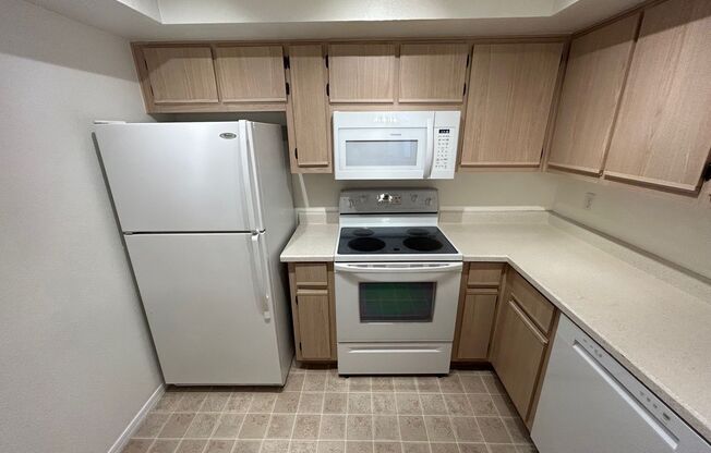 MOVE IN SPECIAL OFFERED WITH THIS EXCELLENT ONE BEDROOM AND ONE BATHOOM SPRING VALLEY GATED CONDO!