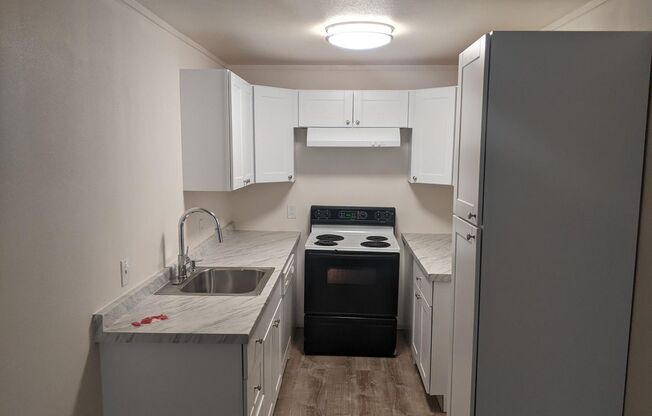 Brand New Remodeled Studio in Heart of Redmond