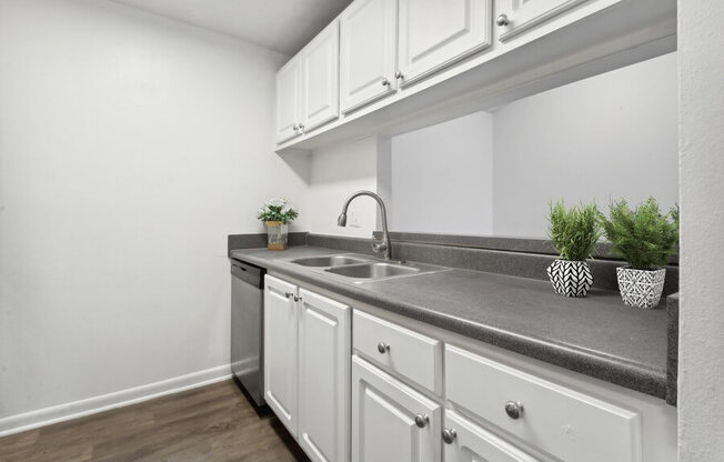 Model kitchen