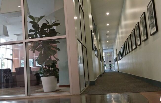 2 beds, 2 baths, 1,200 sqft, $3,650, Unit 1906