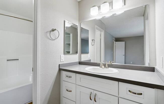 a bathroom with a sink and a mirror and a shower