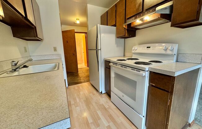 1 bed, 1 bath, 574 sqft, $1,595, Unit 203