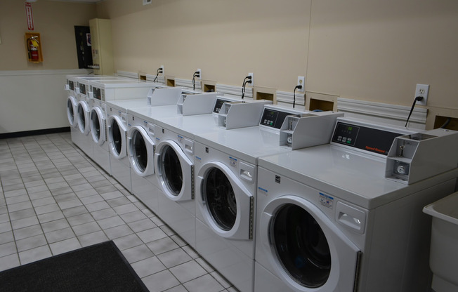 1 bed, 1 bath, 550 sqft, $1,300, Unit 1202