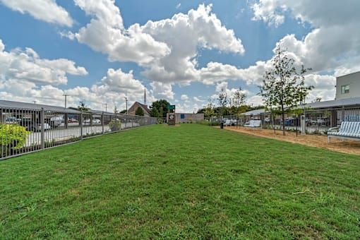 A large grassy field with a fence and a tree in the distance.