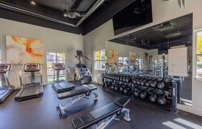 A gym with treadmills, weights, and exercise equipment.