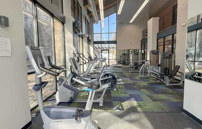 A gym with treadmills and elliptical machines.