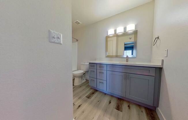 A bathroom with a vanity and a toilet.