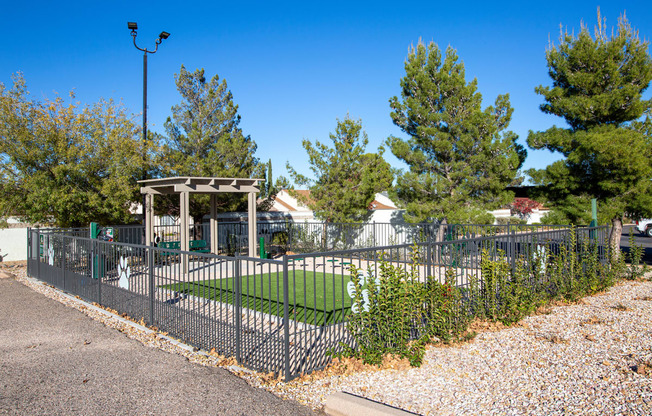 Dog Park at Sky Island