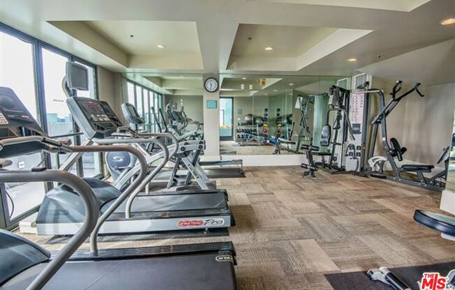 1 bed, 1 bath, 1,190 sqft, $3,200, Unit 310