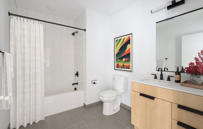 a bathroom with a shower toilet and a sink