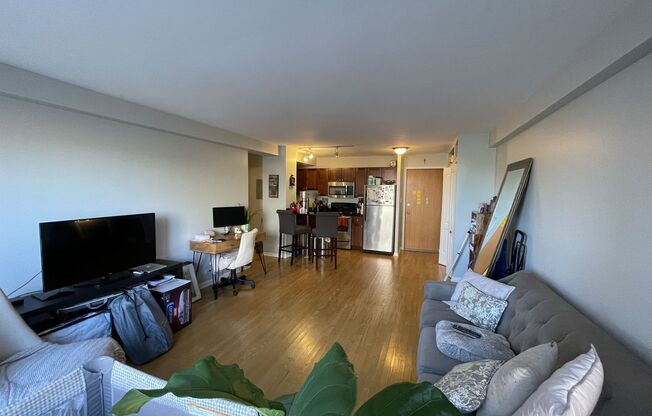 1 bed, 1 bath, 700 sqft, $1,900, Unit 418-0709