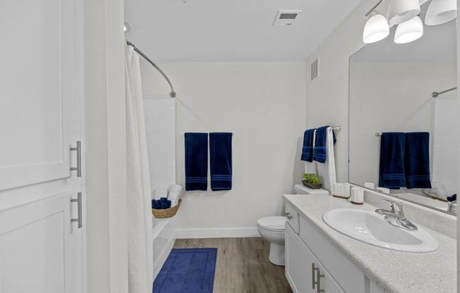 a bathroom with a sink and a toilet and a shower