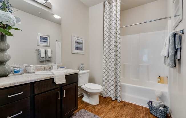Spacious Bathroom With Wood-Style Flooring & Tiled Shower With Tub