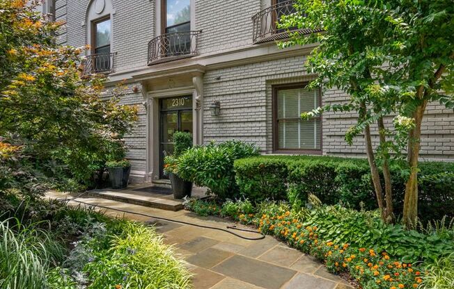 Available Now! 1 Bedroom 1 Bathroom Condo // Kalorama Triangle// 93 WalkScore!