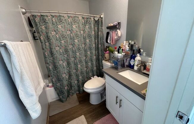 1 bed, 1 bath, 475 sqft, $1,850, Unit 204
