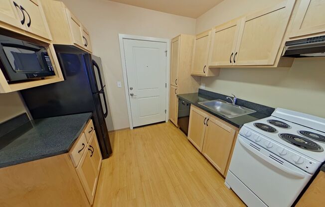 1 bed, 1 bath, 391 sqft, $1,250, Unit 207