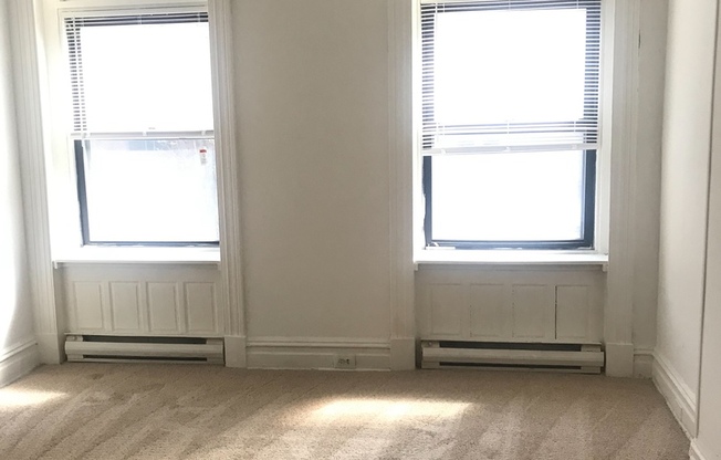 Studio, 1 bath, 450 sqft, $1,099, Unit 46-1F