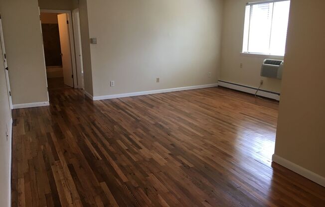 1 bed, 1 bath, $1,495, Unit 303