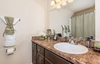 a double sink and large mirror