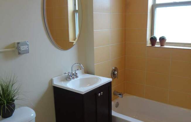 Studio, 1 bath, 450 sqft, $1,500, Unit 207
