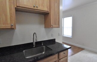 Wonderfully Remodeled Large Studio Apartment