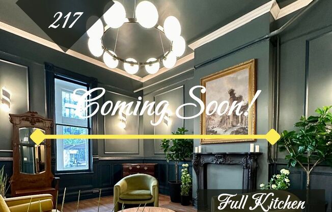 Studio, 1 bath, 162 sqft, $1,550, Unit 217