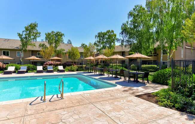 Swimming Pool with Lounge Seating at The Seasons Apartments, San Ramon, CA