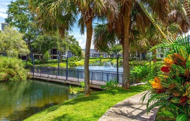 Landscaping and Bridge over Water Feature at Bay Crossing | Tampa Apartments