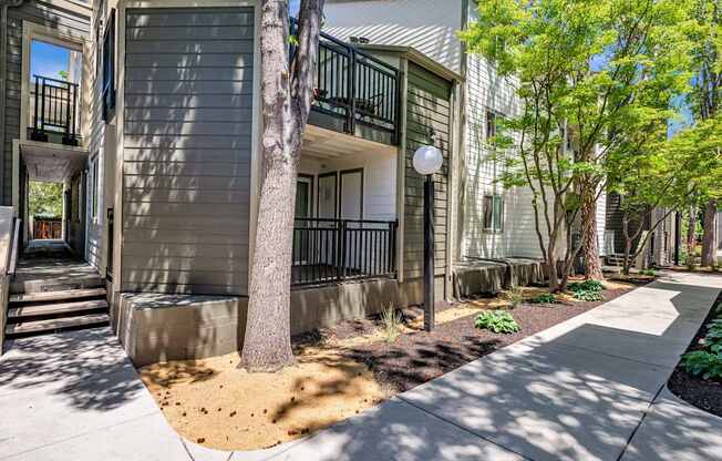 A tree in front of a building with a balcony.