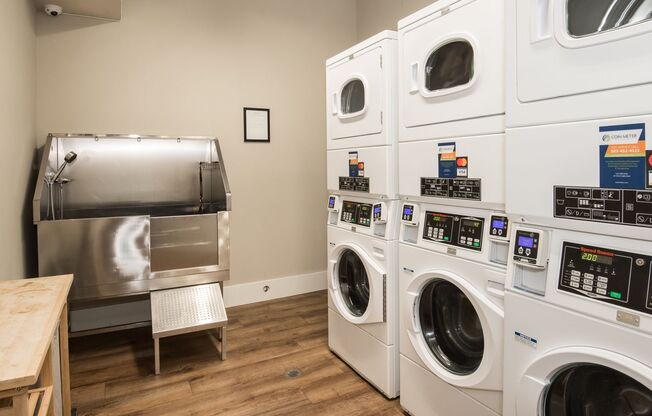 Studio, 1 bath, 190 sqft, $1,025, Unit 101